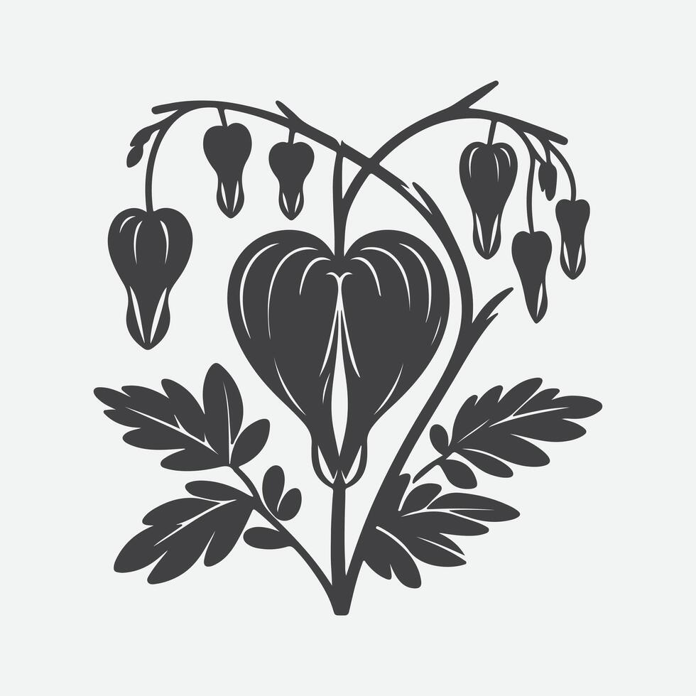 Print Enchanting Elegance, The Striking Silhouette of the Bleeding Heart Flower vector