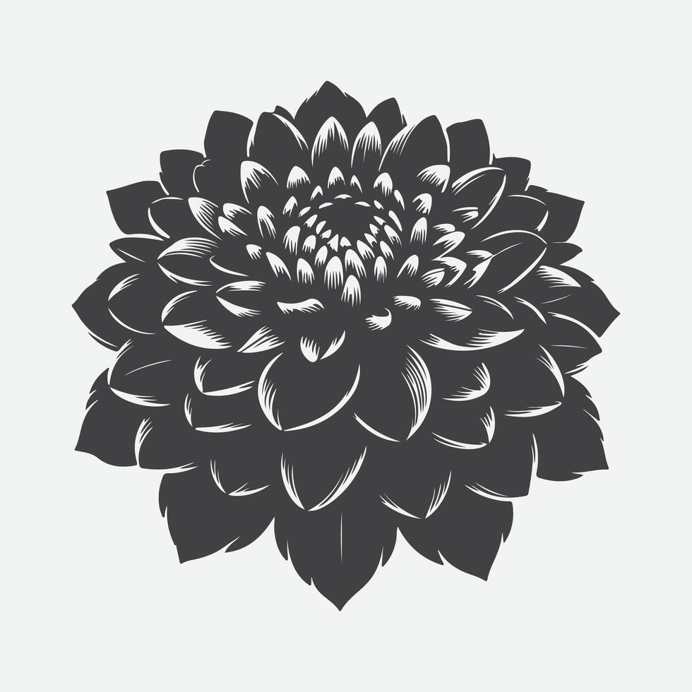 Majestic Dahlia Flower Silhouette, Capturing Nature's Elegance in Every Detail vector