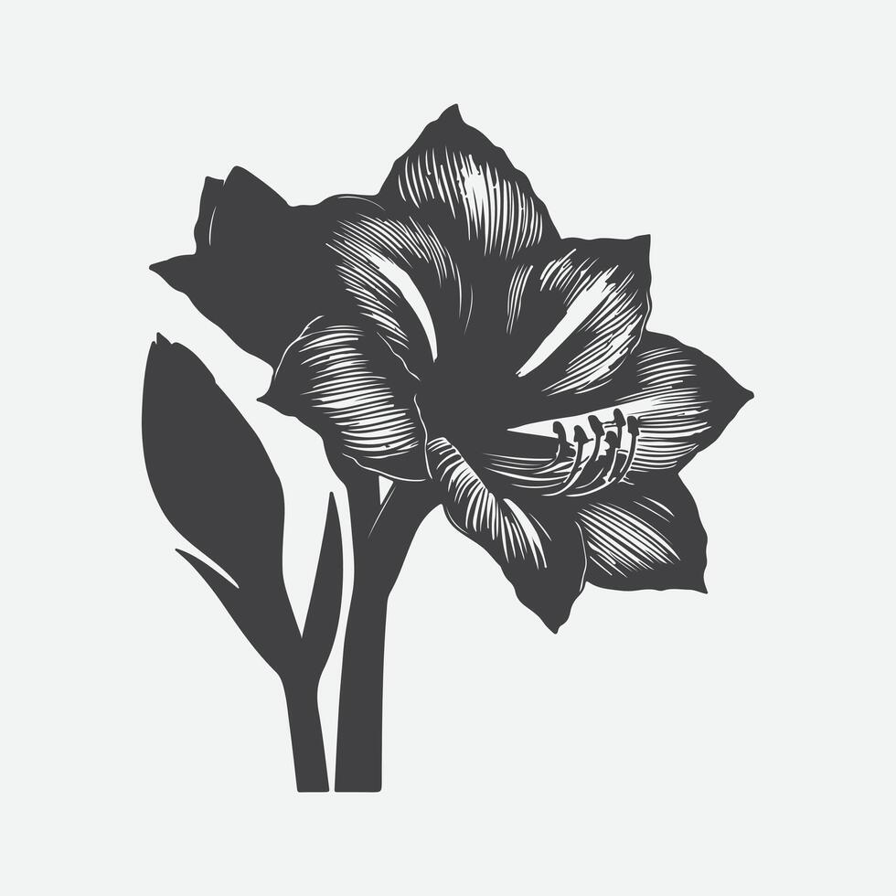 Print Stunning Silhouettes, The Elegance of Amaryllis Flower in Art and Design vector