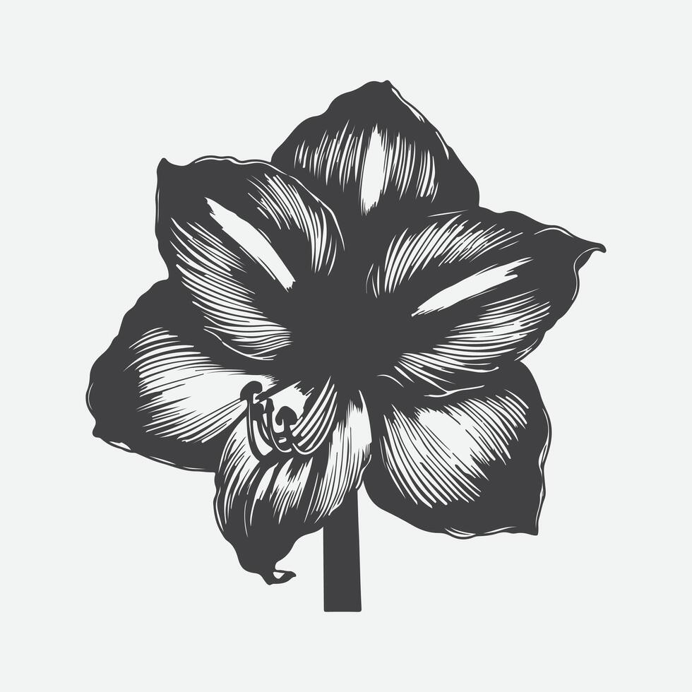 Print Stunning Silhouettes, The Elegance of Amaryllis Flower in Art and Design vector