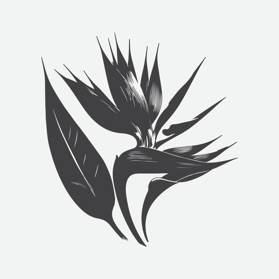 Print Exquisite Silhouette of the Bird of Paradise Flower, A Botanical Masterpiece vector