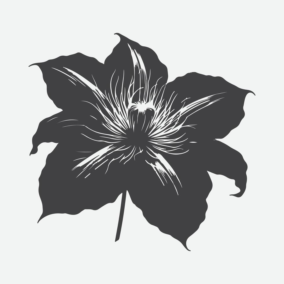 Print Enchanting Elegance, The Majestic Silhouette of Clematis Blossom vector