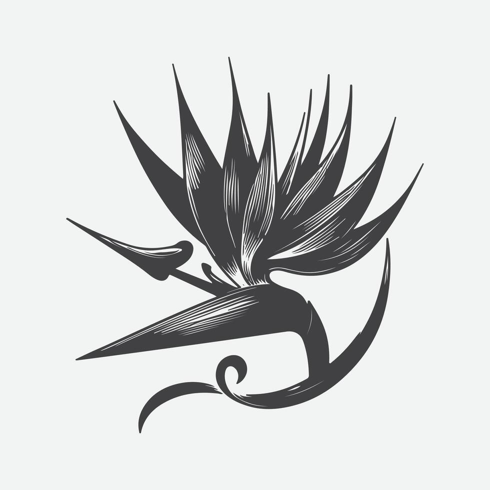 Print Exquisite Silhouette of the Bird of Paradise Flower, A Botanical Masterpiece vector