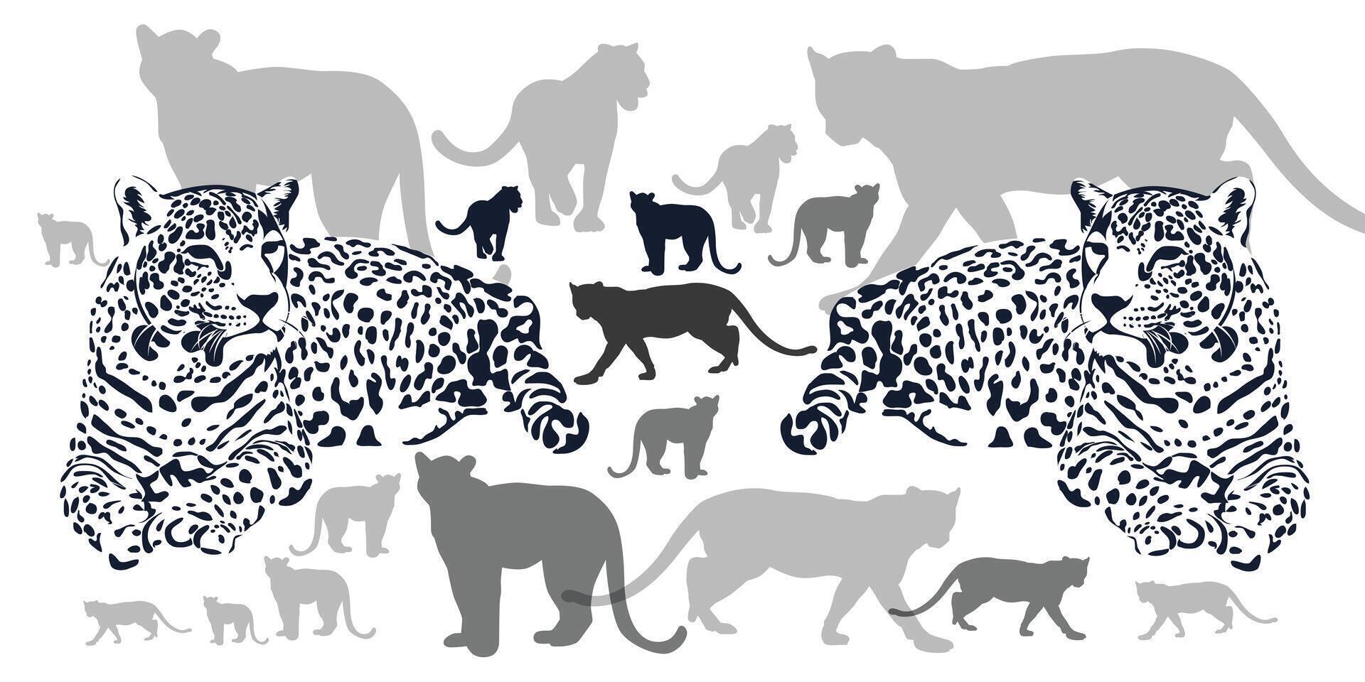 Wild cat tiger jaguar rain forest animals background. Wild life animals. Isolated on white background. vector
