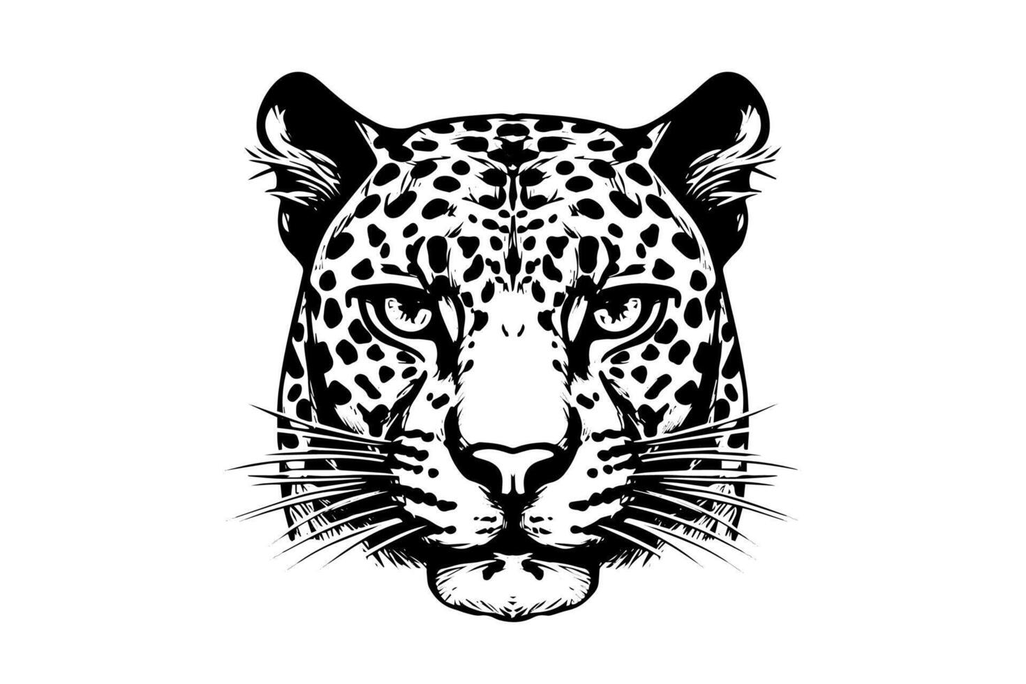 Black and white hand drawn ink sketch of leopard head or face. illustration. vector