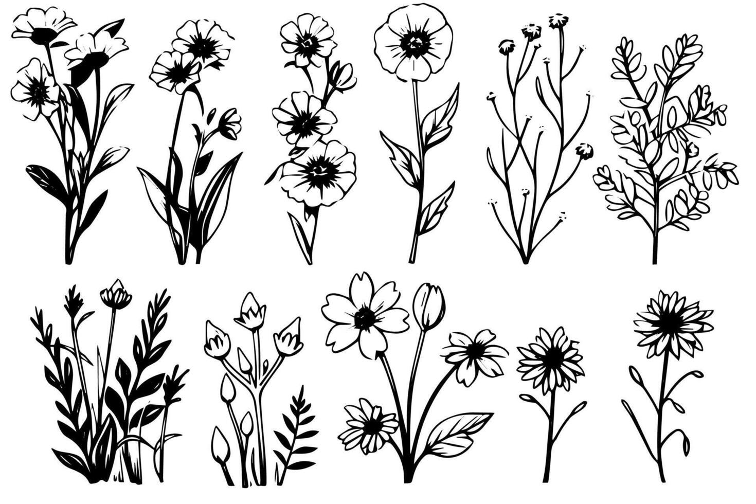 Hand drawn ink sketch of meadow wild flower set. Engraved style illustration. vector