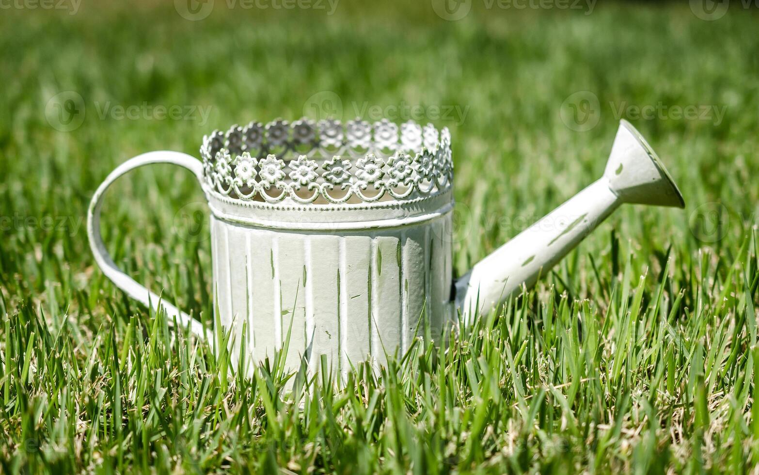 Old-fashioned watering can in the grass photo