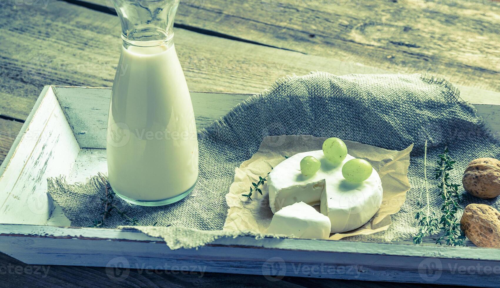 Camembert with pitcher of milk and whole nuts photo