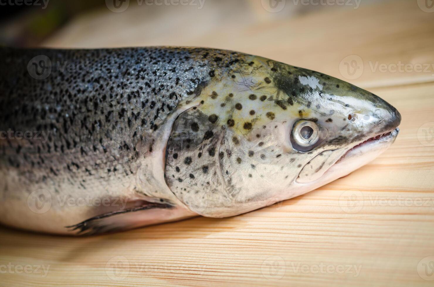 Atlantic Salmon whole fish photo