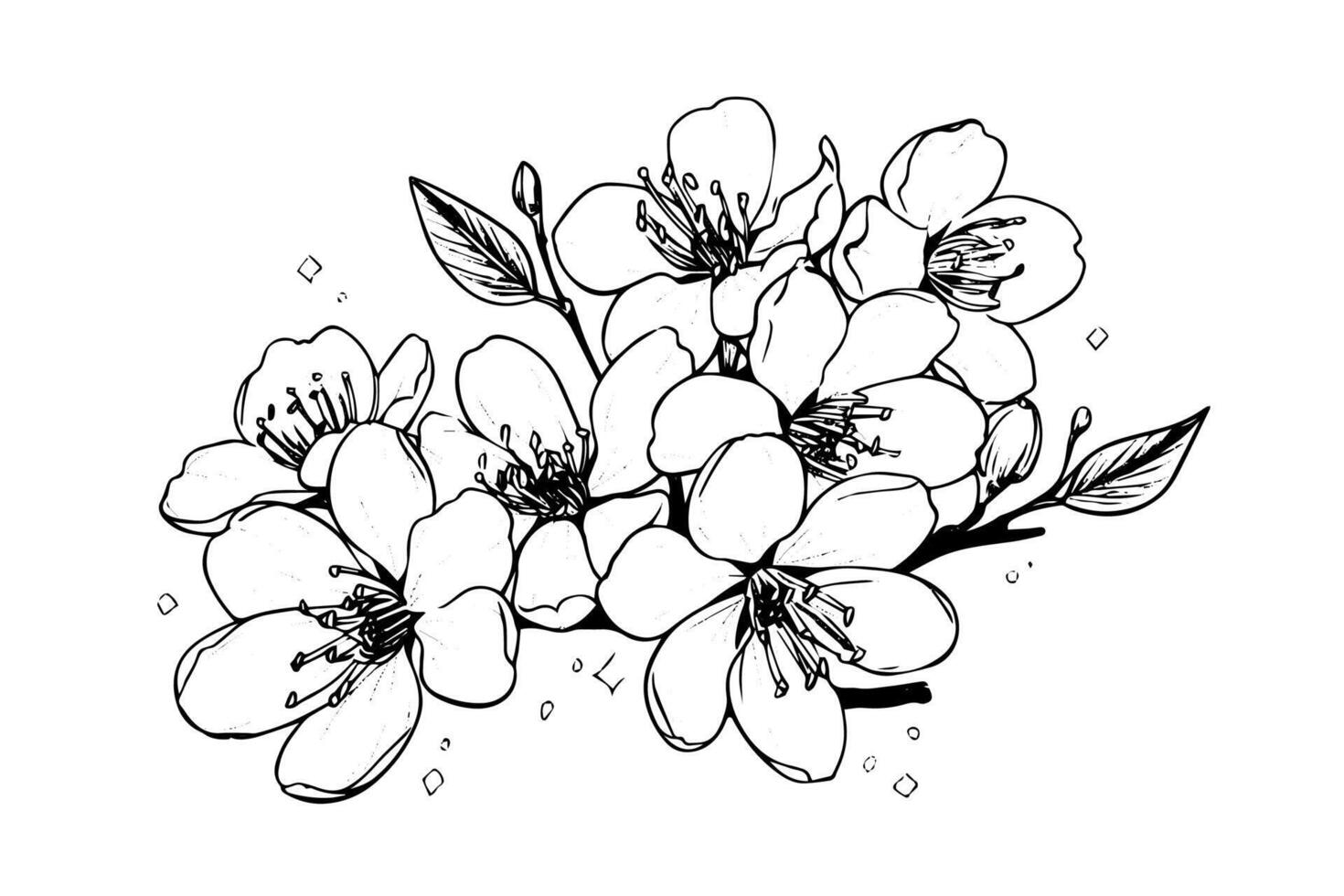 Sakura flower hand drawn ink sketch. Engraved style illustration. vector