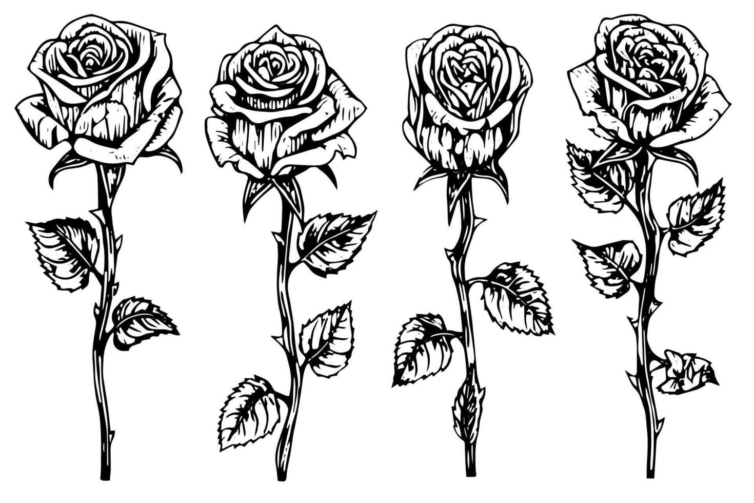 Set of rose flower hand drawn ink sketch. Engraving style illustration. vector
