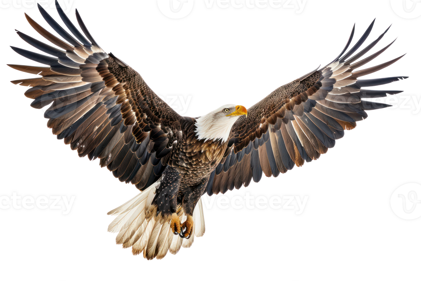 A majestic bald eagle with wings spread wide in flight, png