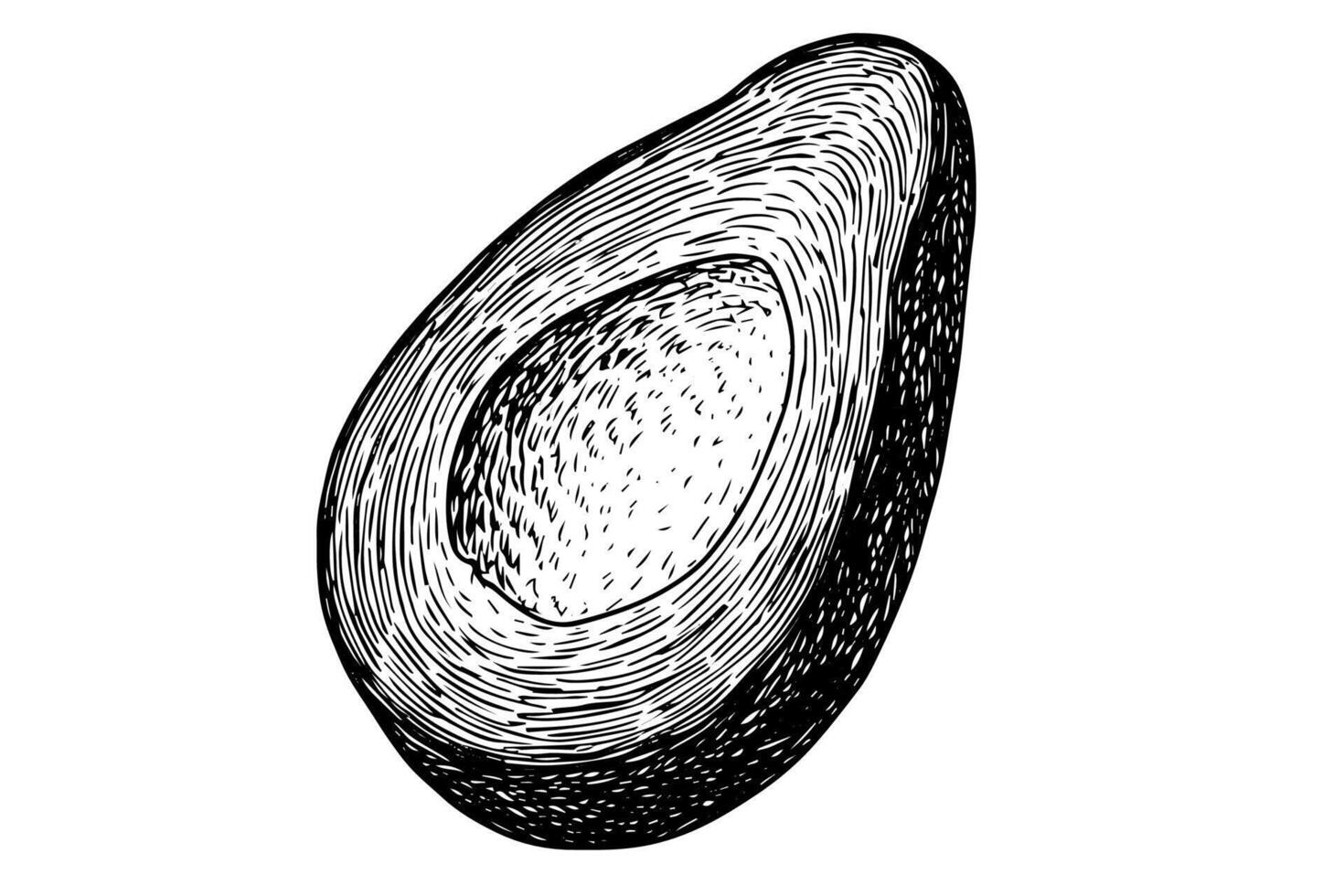 Vintage Avocado Sketch Hand-Drawn Illustration of Fresh Fruit Slice. vector
