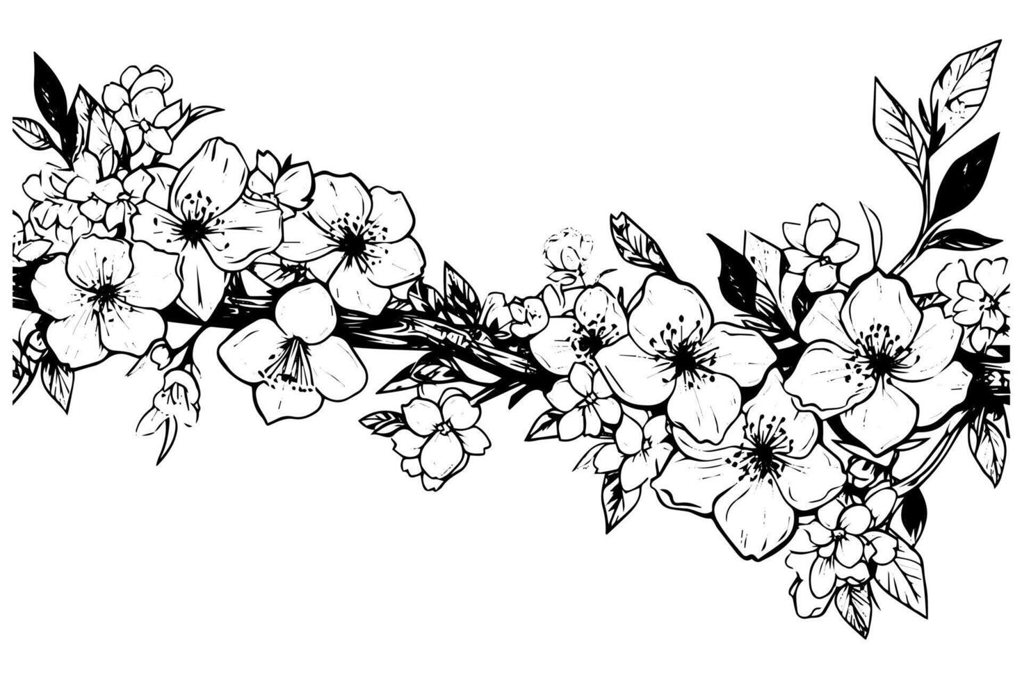 Cherry blossom hand drawn ink sketch. Sakura in engraving style illustration. vector