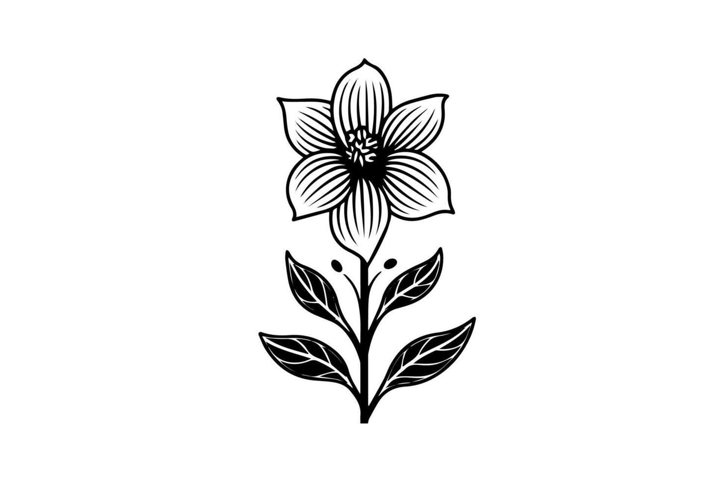 Hand drawn ink sketch of meadow wild flower. Engraved style illustration. vector