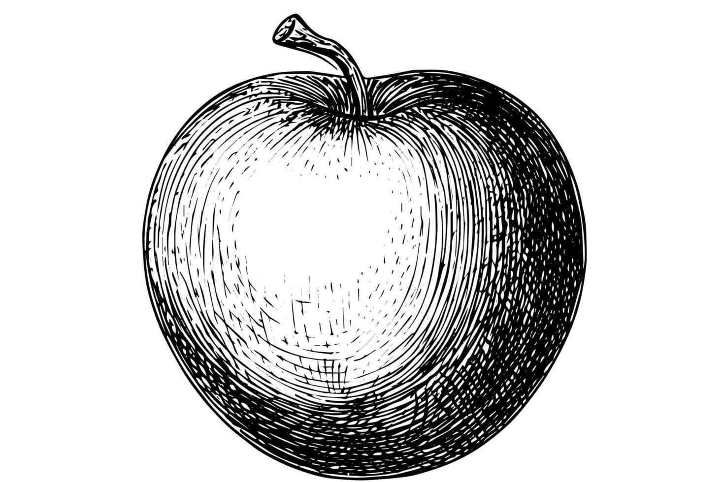 Vintage Hand-Drawn Apple Tree Sketch Retro Illustration of Fresh Fruit. vector