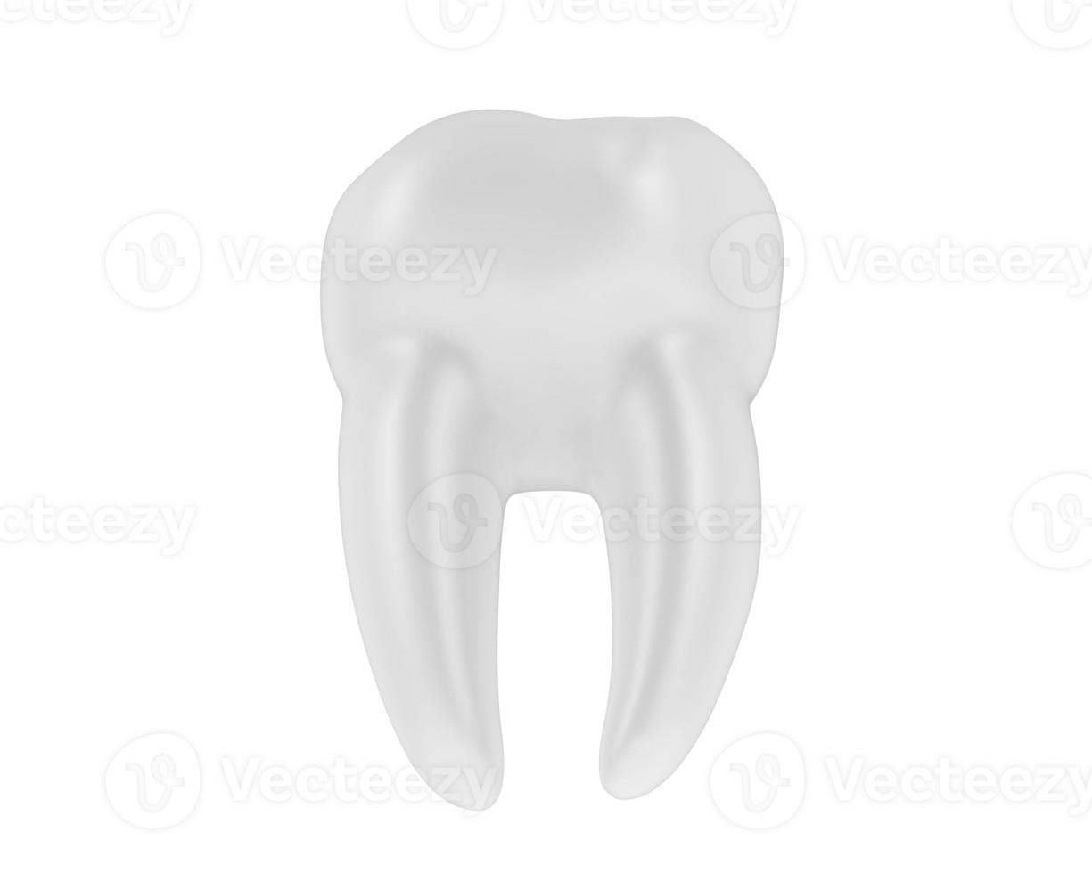 Tooth isolated on background. 3d rendering - illustration png