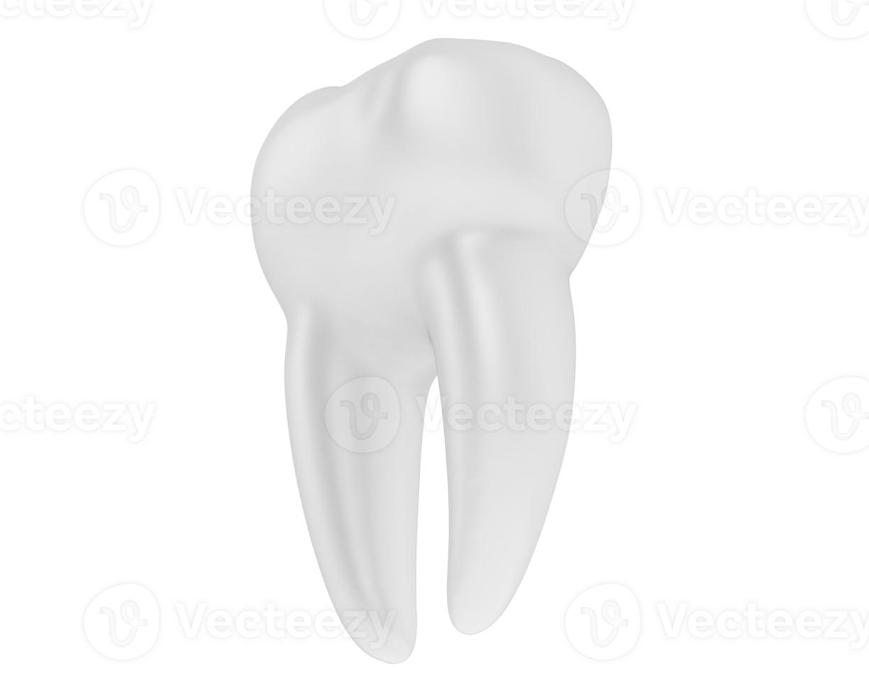 Tooth isolated on background. 3d rendering - illustration png
