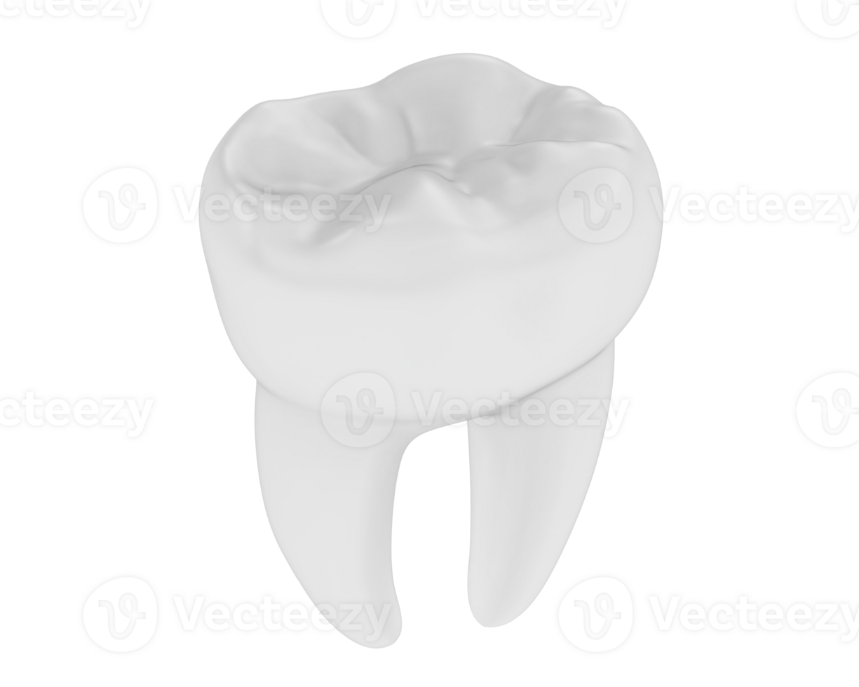 Tooth isolated on background. 3d rendering - illustration png