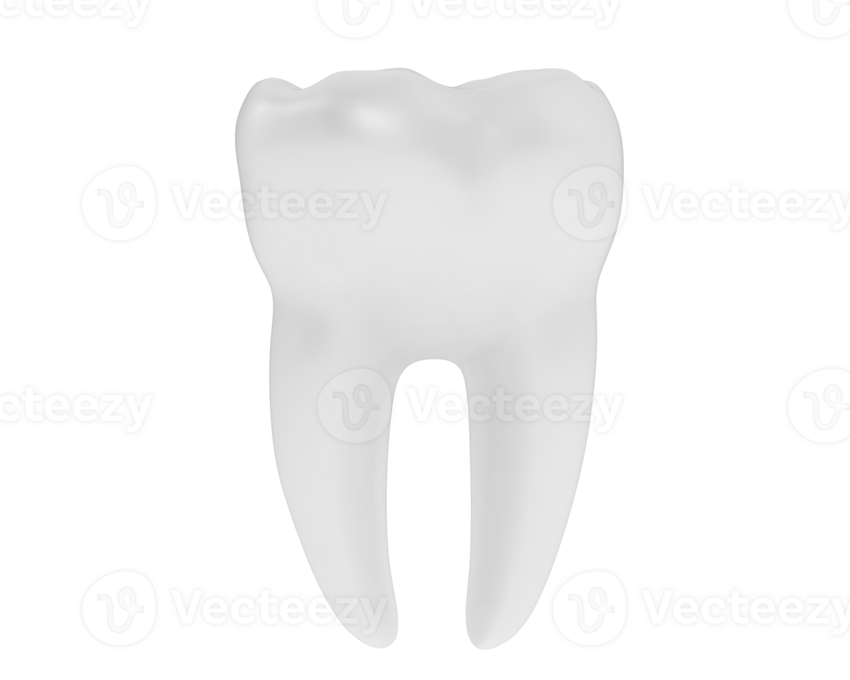 Tooth isolated on background. 3d rendering - illustration png