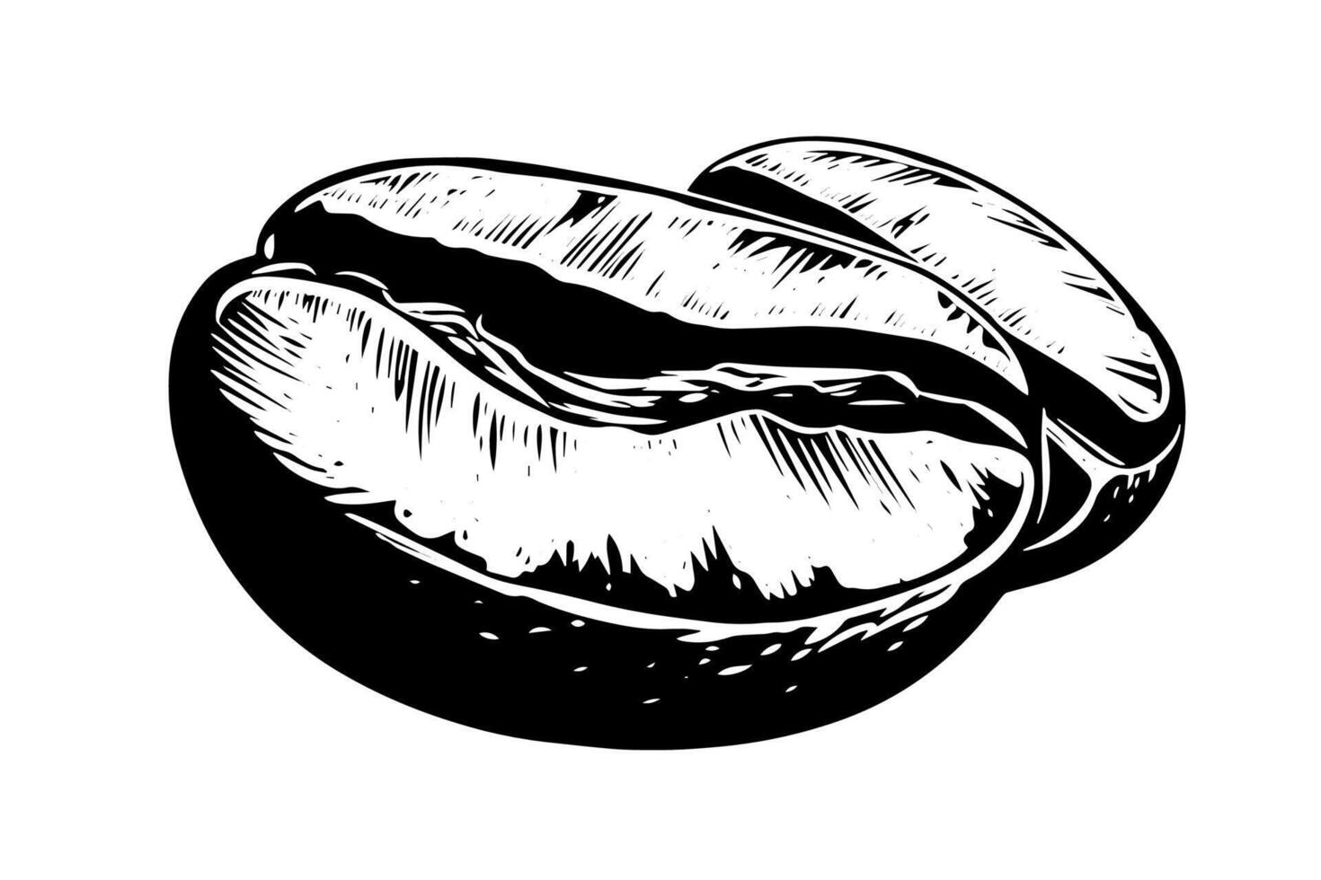 Vintage Hand-drawn Coffee Bean Sketch A Rich Cafe Icon Logo. vector