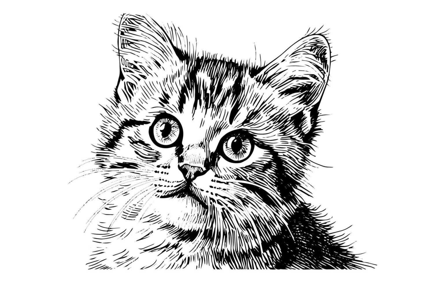 Cute cat portrait hand drawn ink sketch engraving vintage style. illustration. vector