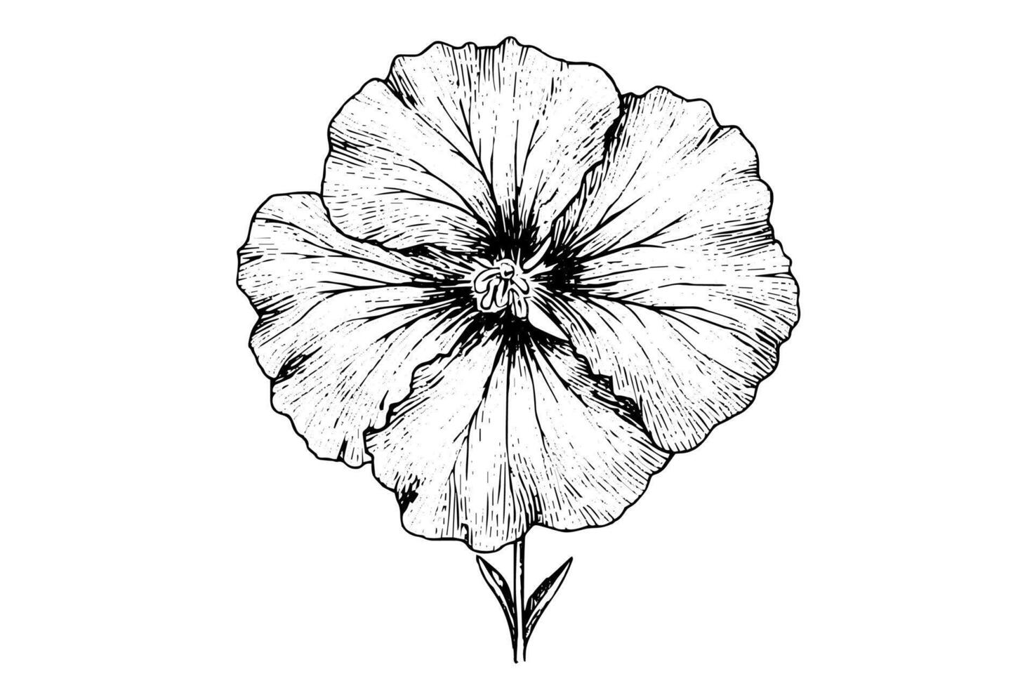 Hibiscus flower hand drawn ink sketch. Engraved style illustration. vector