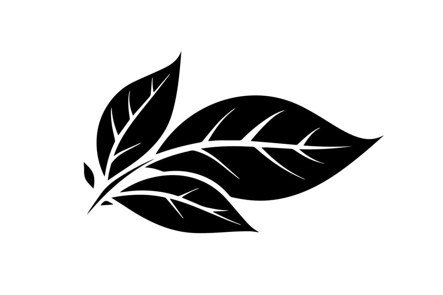 Hand-Drawn Leaf Illustration Various Tree Leaves Icon Logotype Design. vector