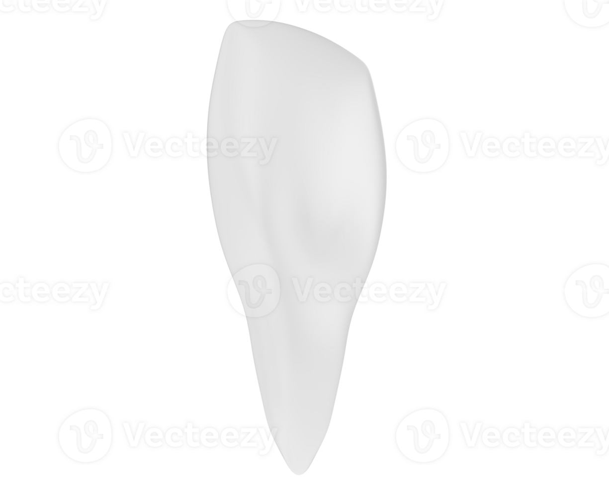 Tooth isolated on background. 3d rendering - illustration png