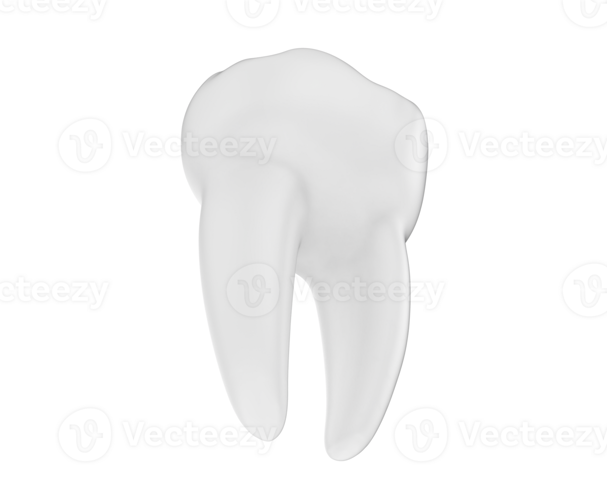 Tooth isolated on background. 3d rendering - illustration png