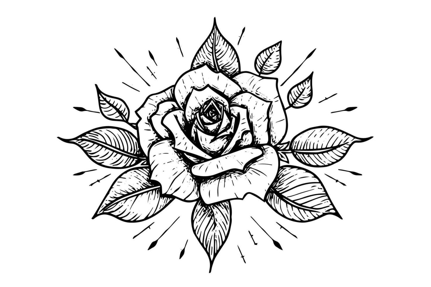 Elegant Rose. Vintage simple line art. Hand drawn ink sketch. Engraving illustration. vector