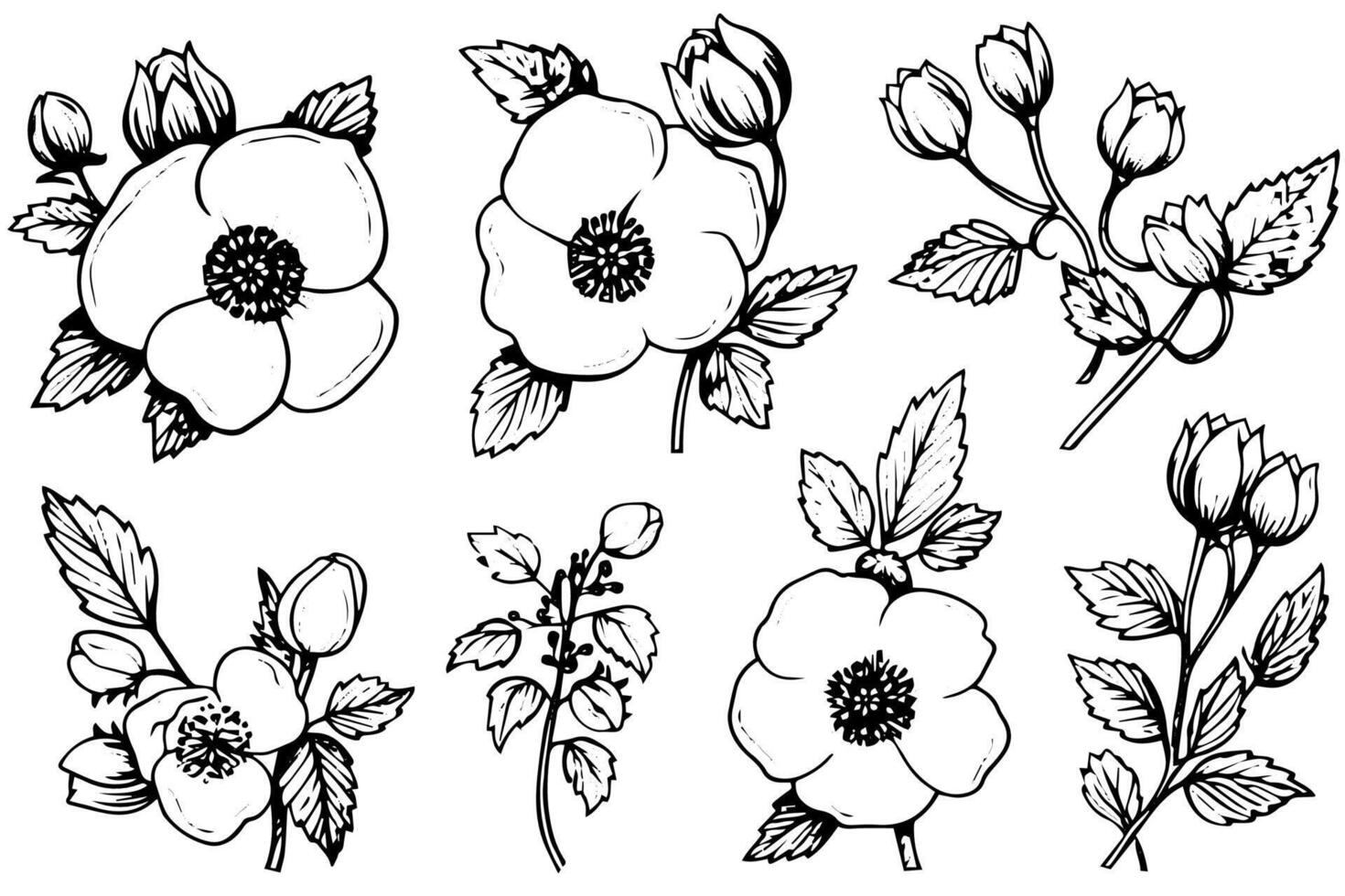 Rosa canina flower hand drawn ink sketch. Engraving style illustration. vector