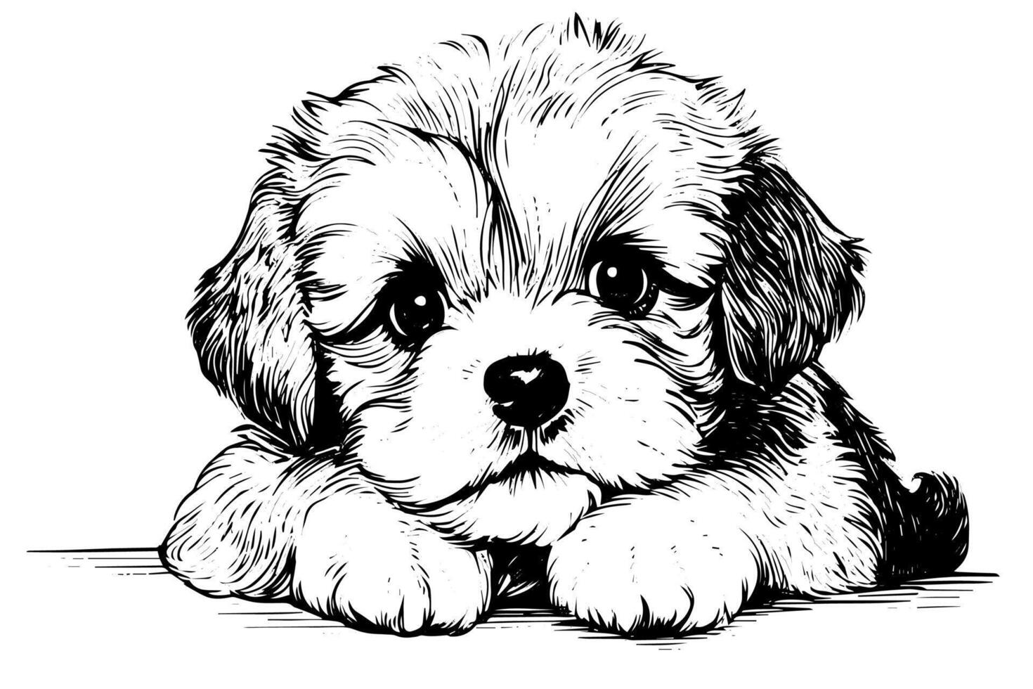 Cute puppy hand drawn ink sketch. Dog in engraving style illustration. vector