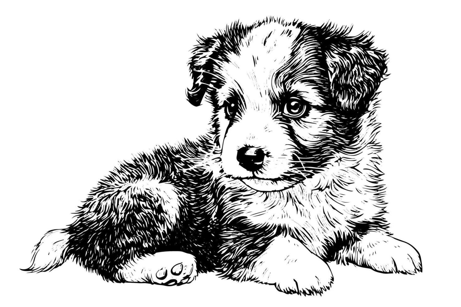 Cute puppy hand drawn ink sketch. Dog in engraving style illustration. vector