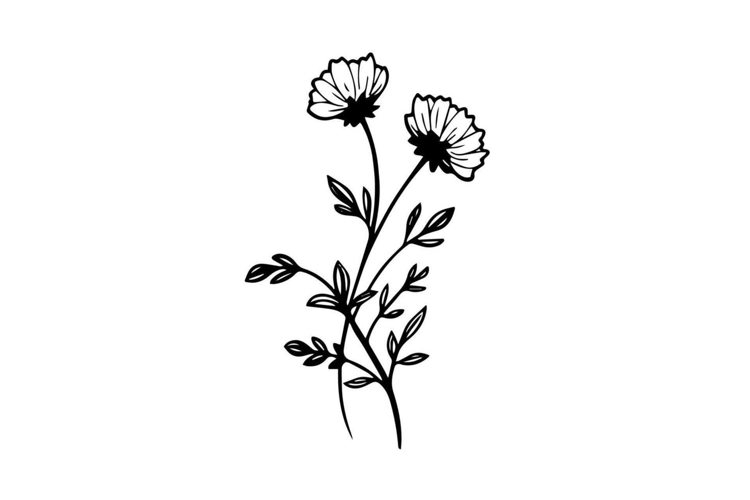Hand drawn ink sketch of meadow wild flower. Engraved style illustration. vector