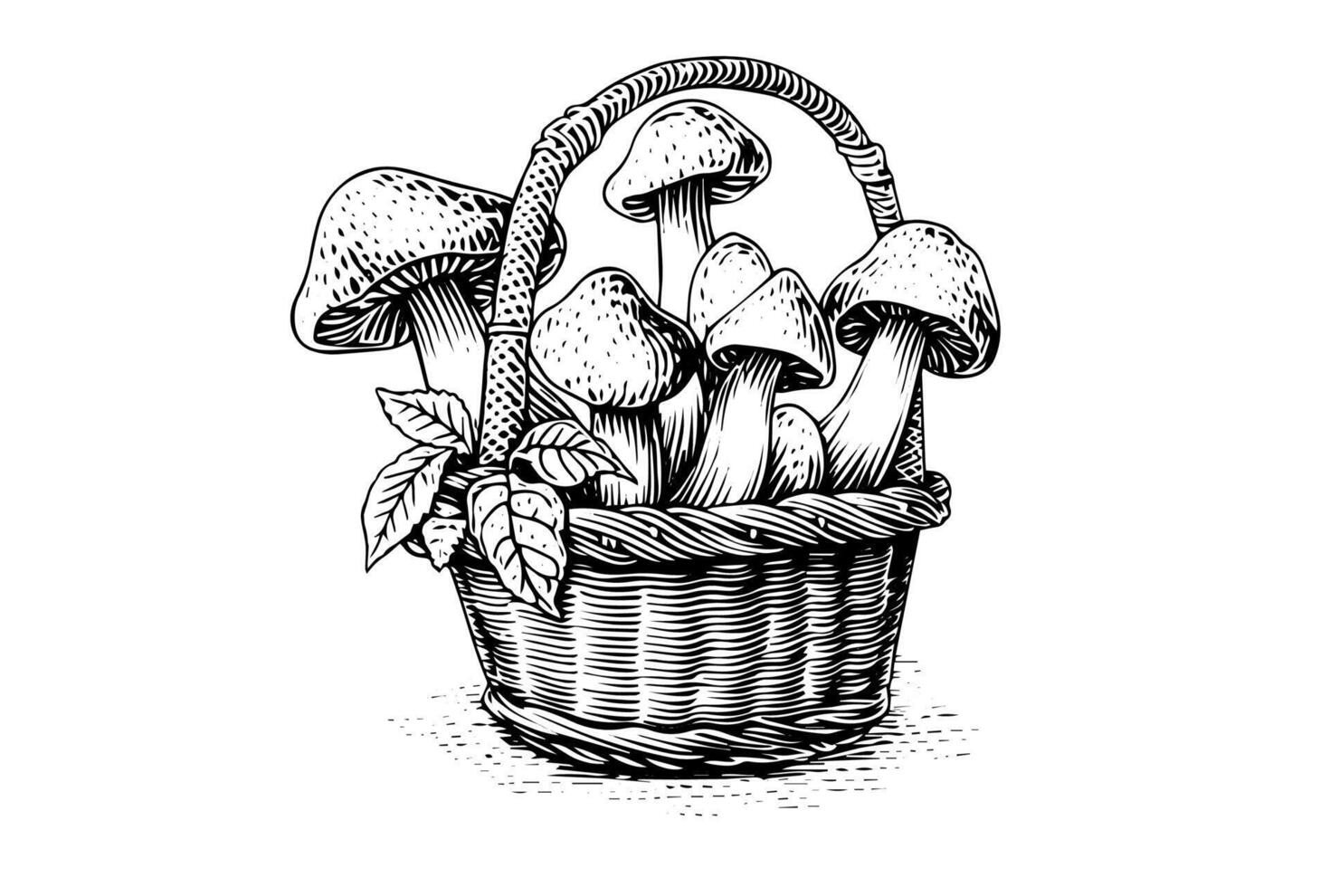 Basket full of mushrooms hand drawn ink sketch. Engraving vintage style illustration. vector