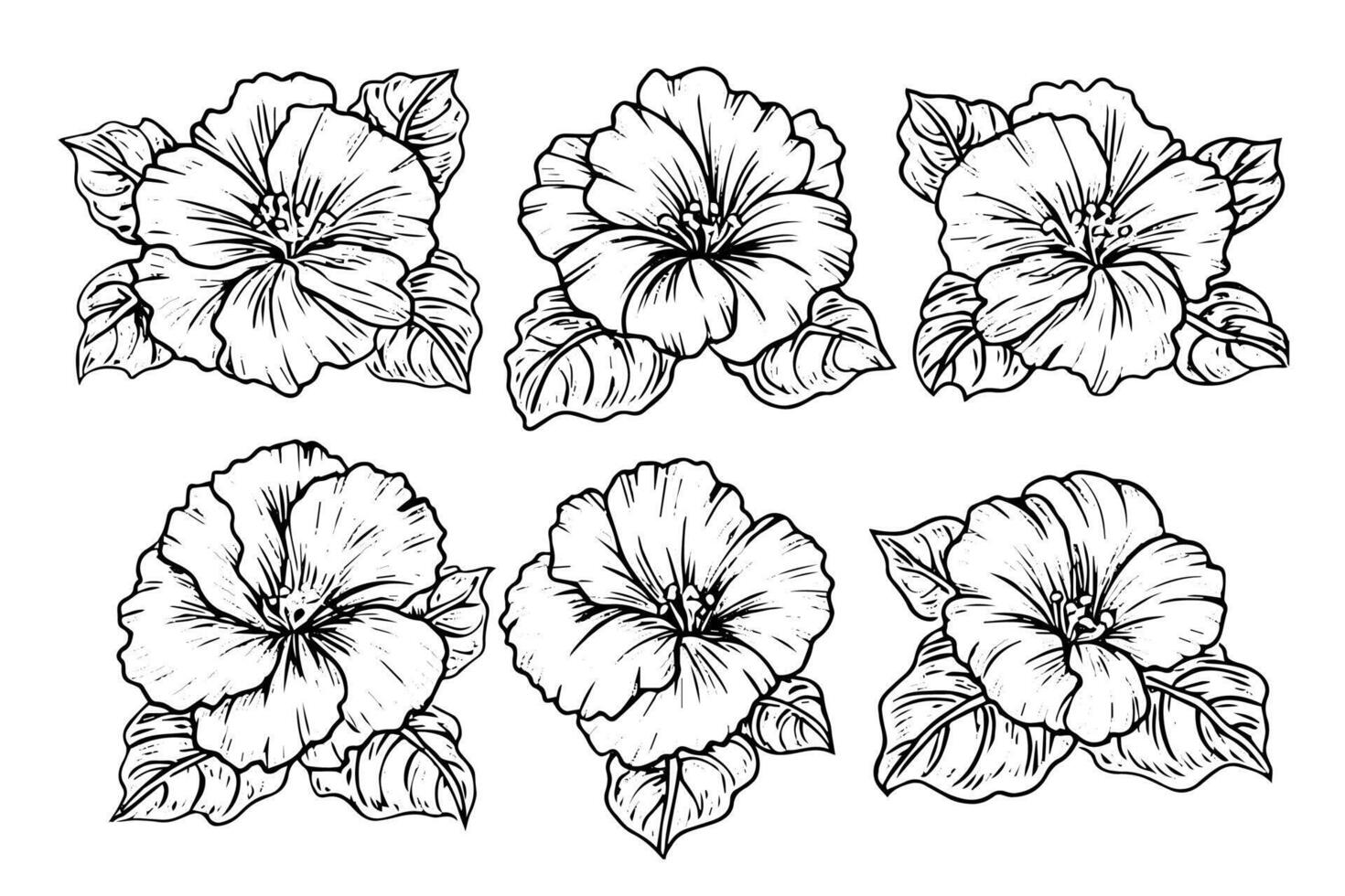 Hibiscus flower hand drawn ink sketch. Engraved style illustration. vector