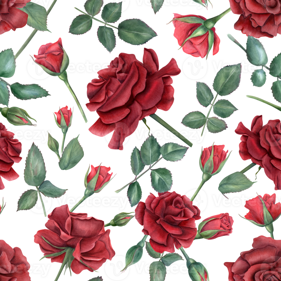 Deep red rose seamless pattern. Ruby flowers and green leaves on stems. Blooming summer garden roses with buds. Watercolor illustration for wedding design, memorial day, mother day and birthday decor png