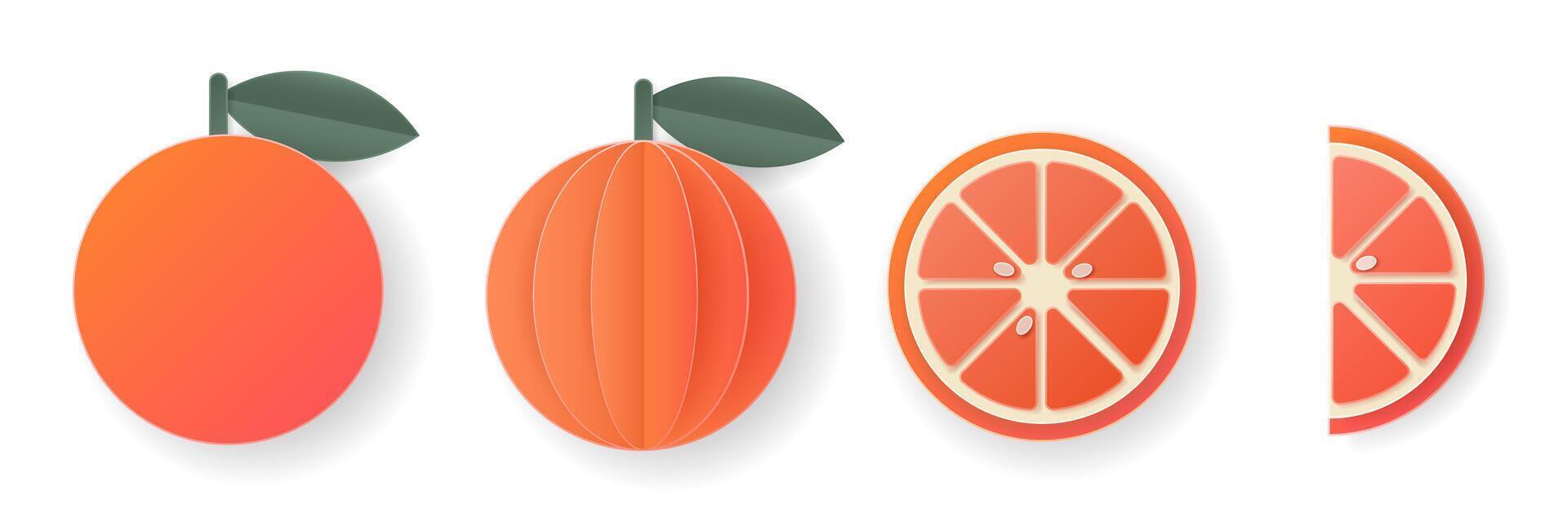 Set of 3d papercut grapefruit sliced cutout citrus fruit. Summer layered fruits. Juicy food elements for restaurant, food, drinks, bars, recipes, summer, sweets, vegan, social media, presentation. vector