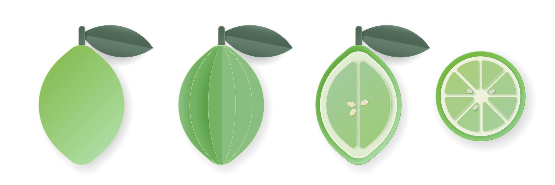 Set of 3d papercut lime sliced cutout citrus fruit. Summer layered fruits. Juicy food elements for restaurant, food, drinks, bars, recipes, summer, sweets, vegan, social media, presentation design. vector