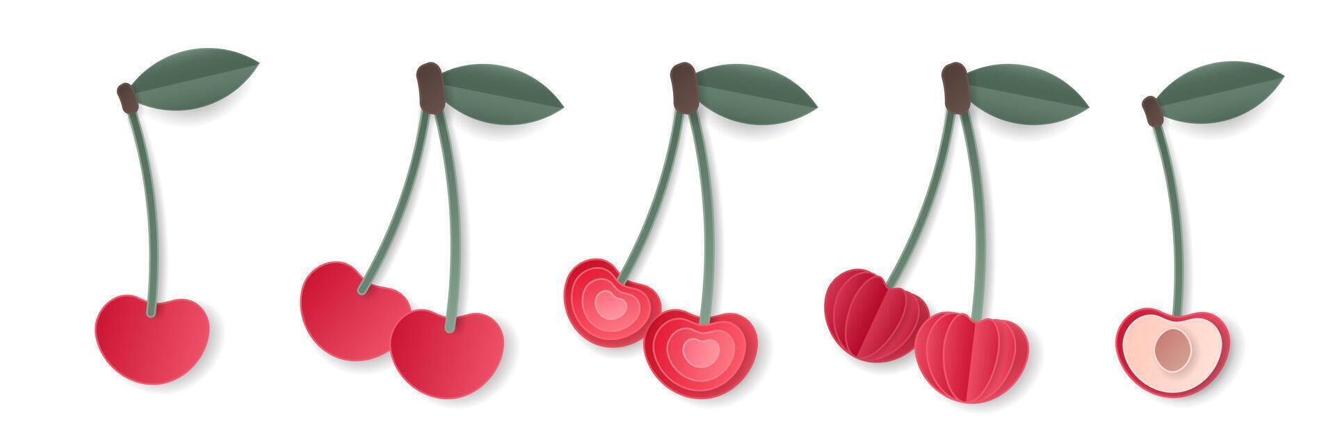 Set of 3d papercut cherry sliced cutout stone fruit. Summer cherries layered fruits. Juicy food elements for restaurant, food, drinks, bars, recipes, summer, sweets, vegan, social media, presentation. vector