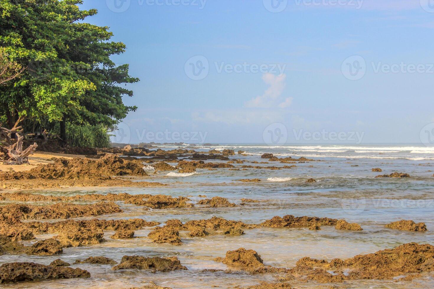 Expanse of coral reef in the ocean with a clear sky. photo