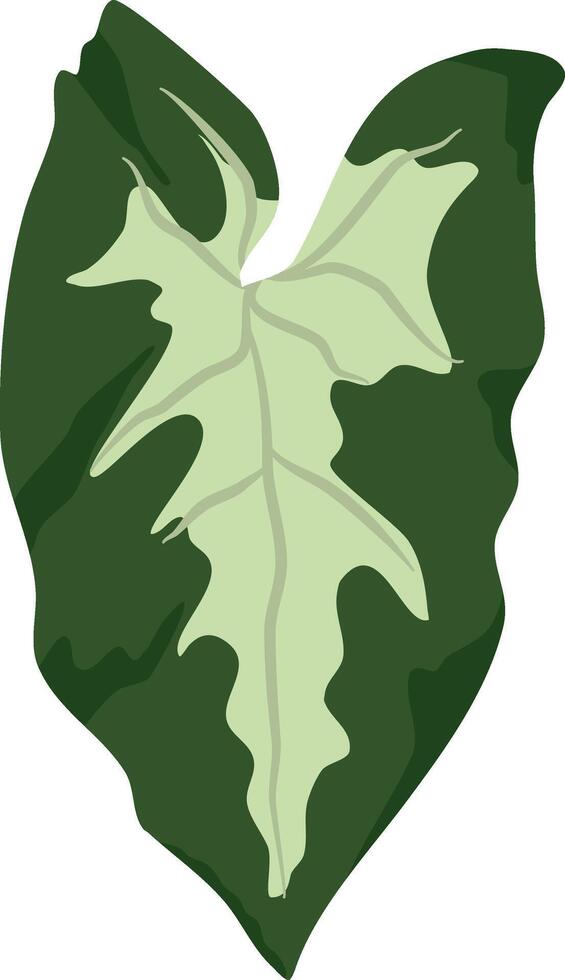 Adobe Illustrator Artwork vector