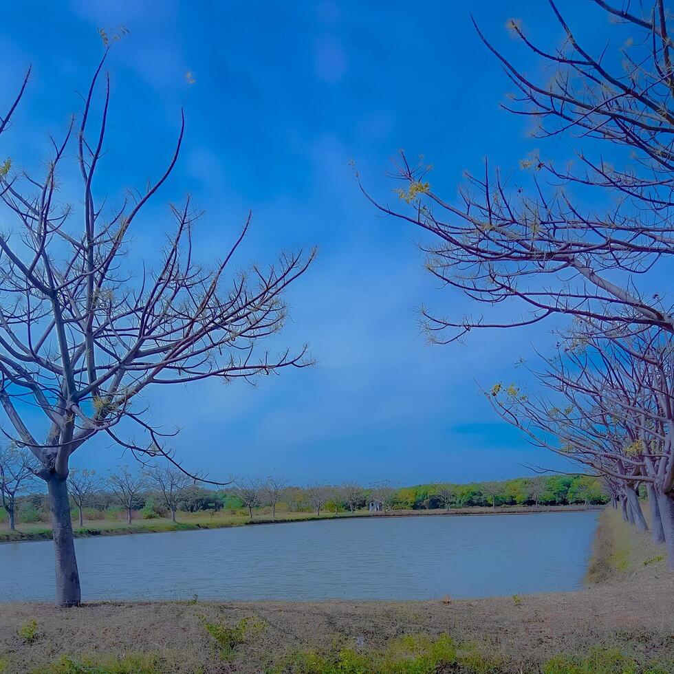 Photo of the lake with a view of the trees