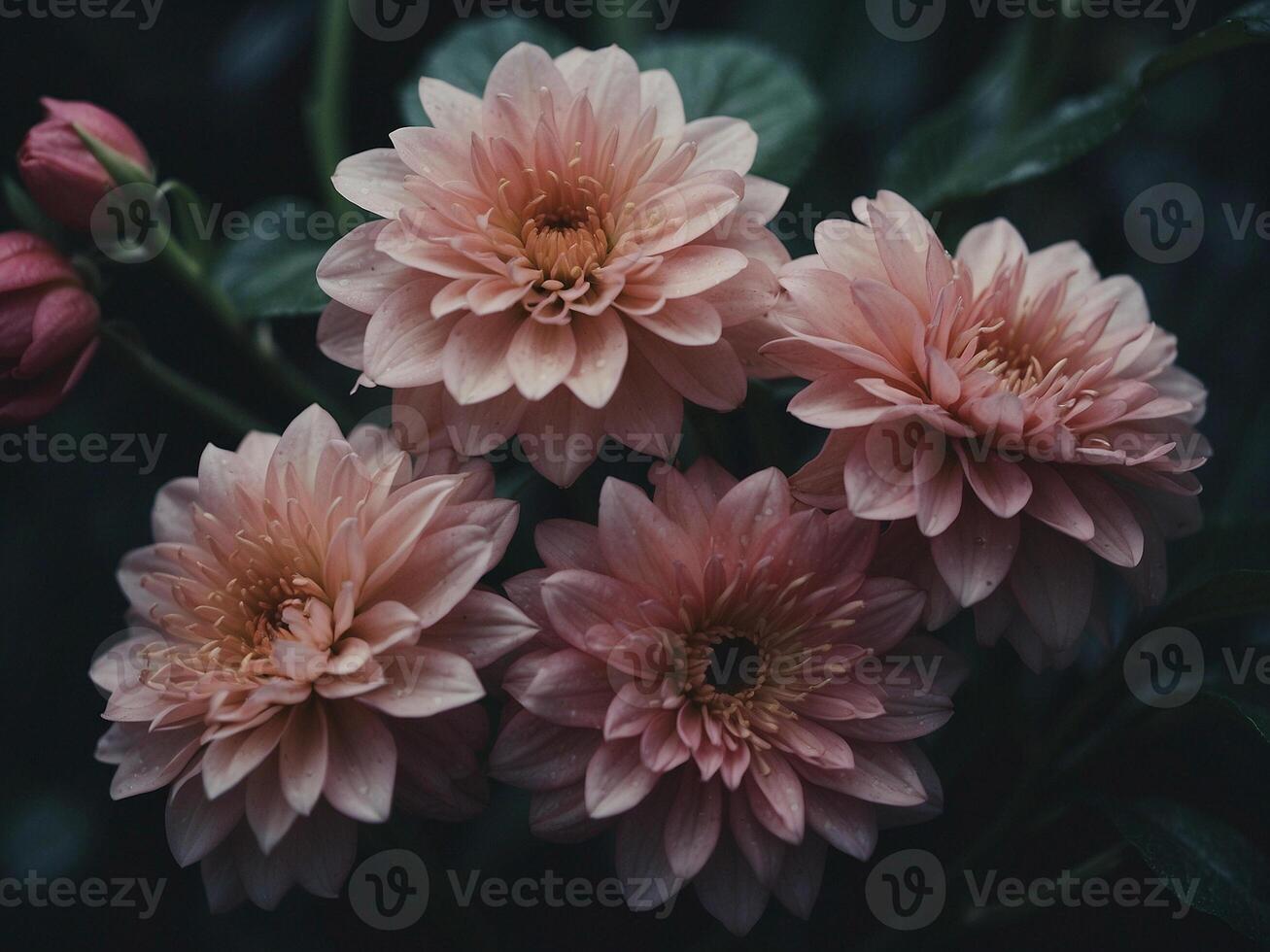 beautiful vibrant botanical photo