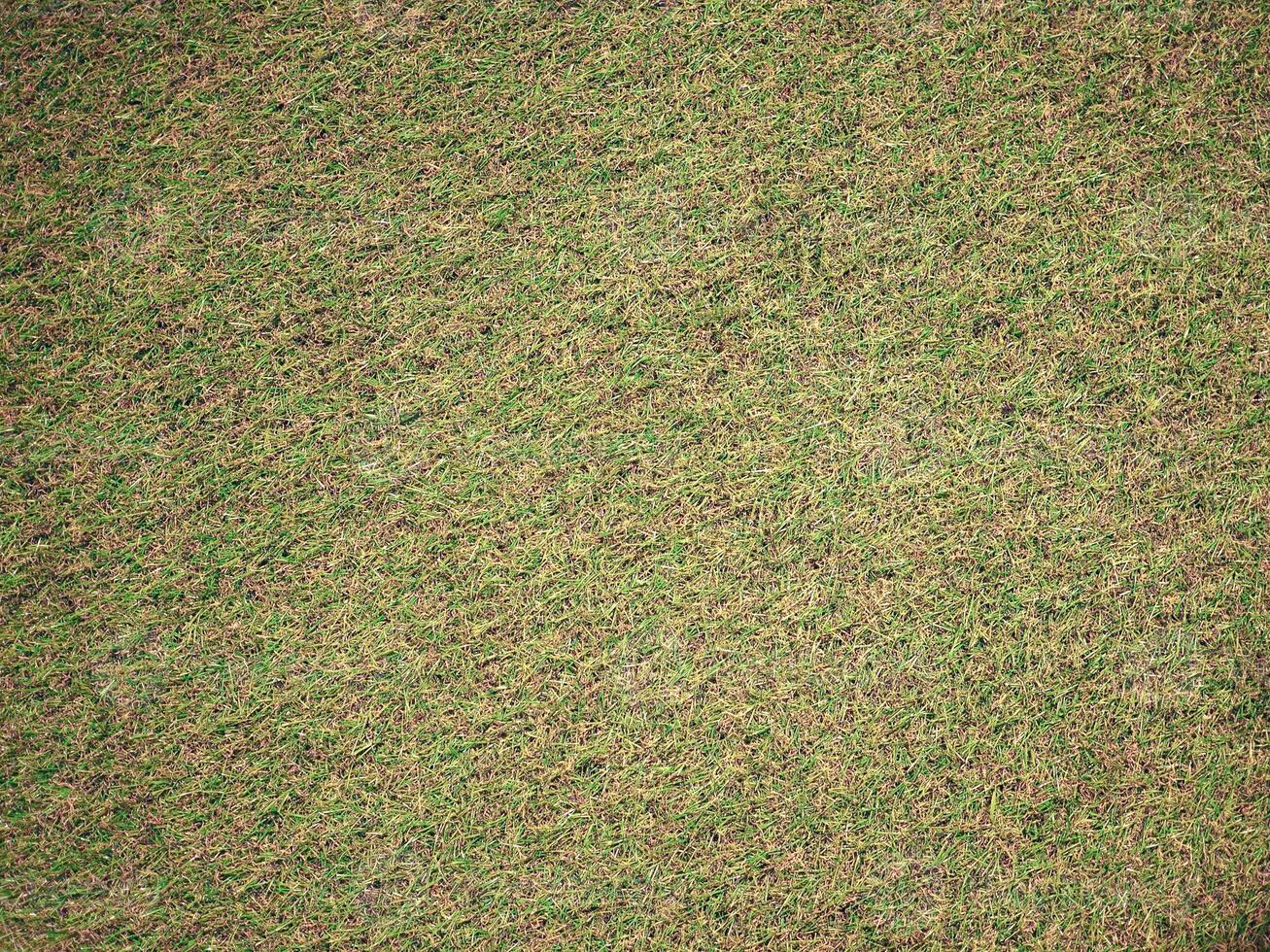 industrial style green plastic artificial grass texture backgrou photo