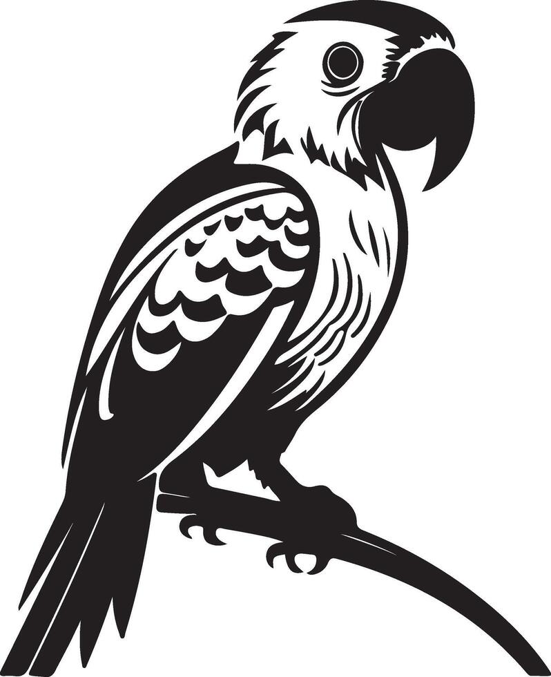 parrot bird illustration vector
