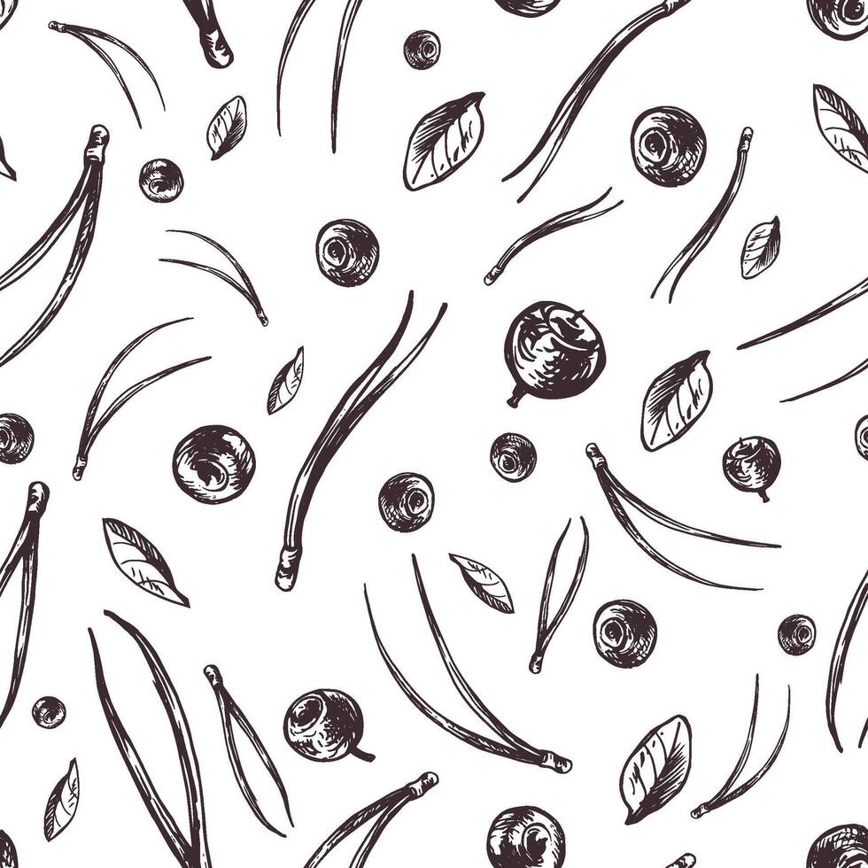 Blueberries with leaves and fir needles. Graphic illustration, hand drawn with brown ink, line art monochrome. Seamless pattern, simple on the theme of forest, harvest, nature. vector