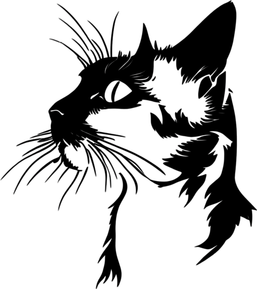 A stencil clipart featuring the silhouette of a cat with distinct fur. AI-Generated. png