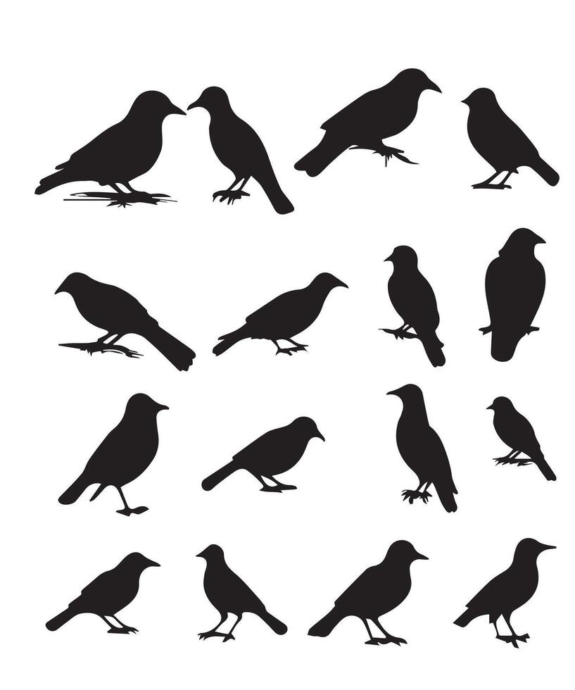 Set of black bird silhouettes. vector